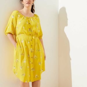 NWT Loft plus floral button down dress